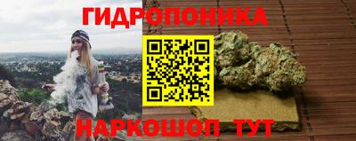 прущие грибы Малгобек