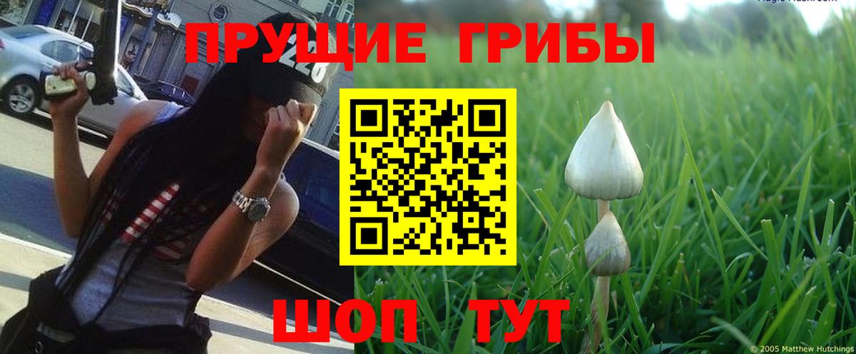 Псилоцибиновые грибы мицелий  Вход с VPN  Бугуруслан 