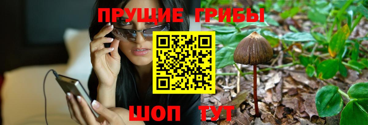 Псилоцибиновые грибы Magic Shrooms Бугуруслан
